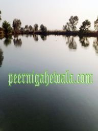 Talab (POND) Peer Mian Rana Ji - Village Basdehra District UNA